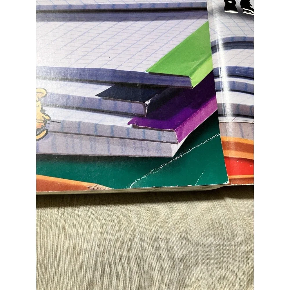 Ready Mathematics 2 And 3 Practice And Problem Solving Home School Textbook - Picture 6 of 12